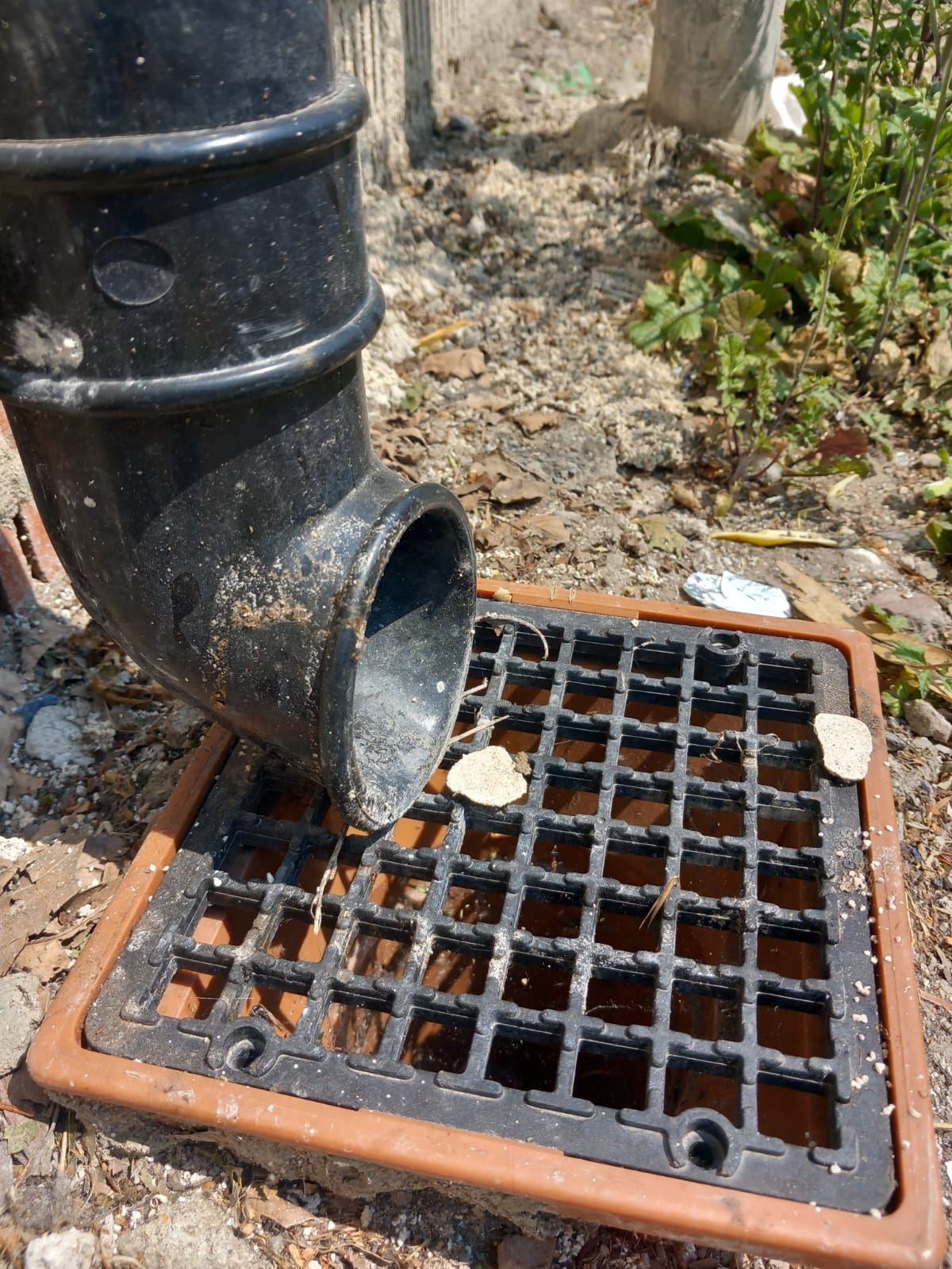 Dealing with a Blocked Gully Trap Causes, Solutions, and Prevention